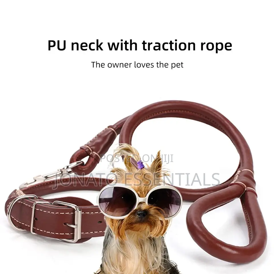 Leather Dog Collar and Leash