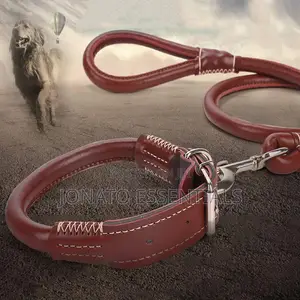 Leather Dog Collar and Leash