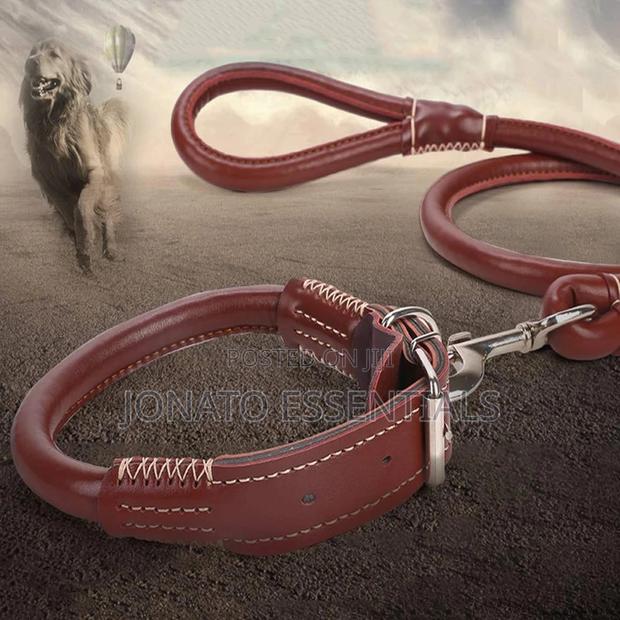 Leather Dog Collar and Leash - thumbnail 5