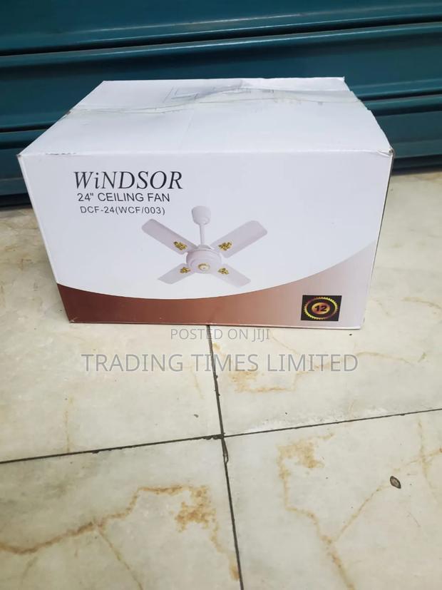 Ceiling Fan 24 Inches Windsor