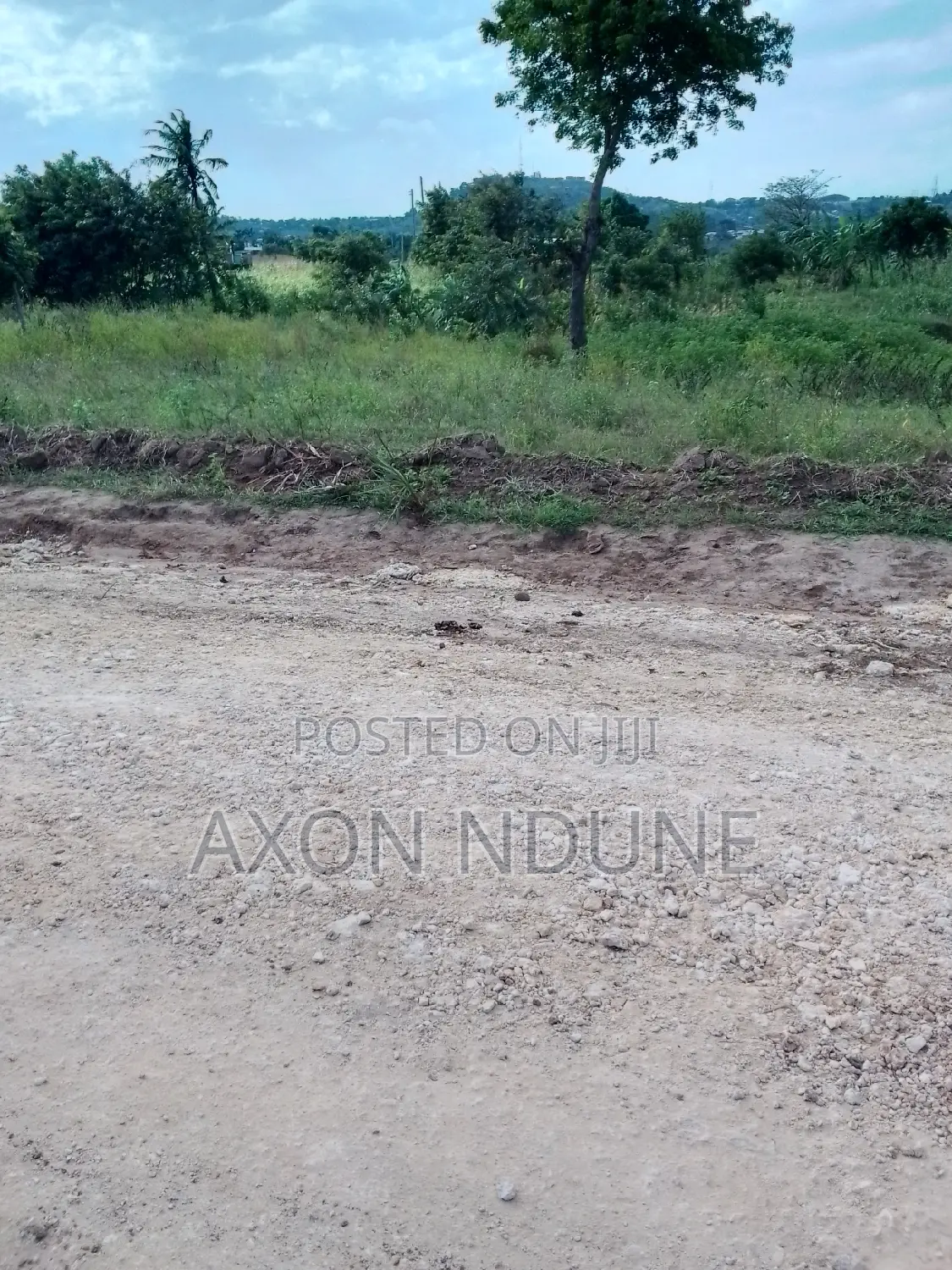 Plot for Sale(50ft×100ft)