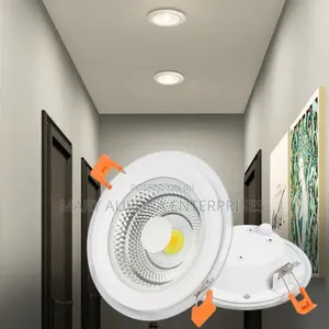 30 Watts Reccessed Downlighters