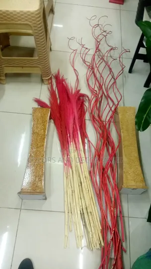Pampas Grass and Colored Sticks