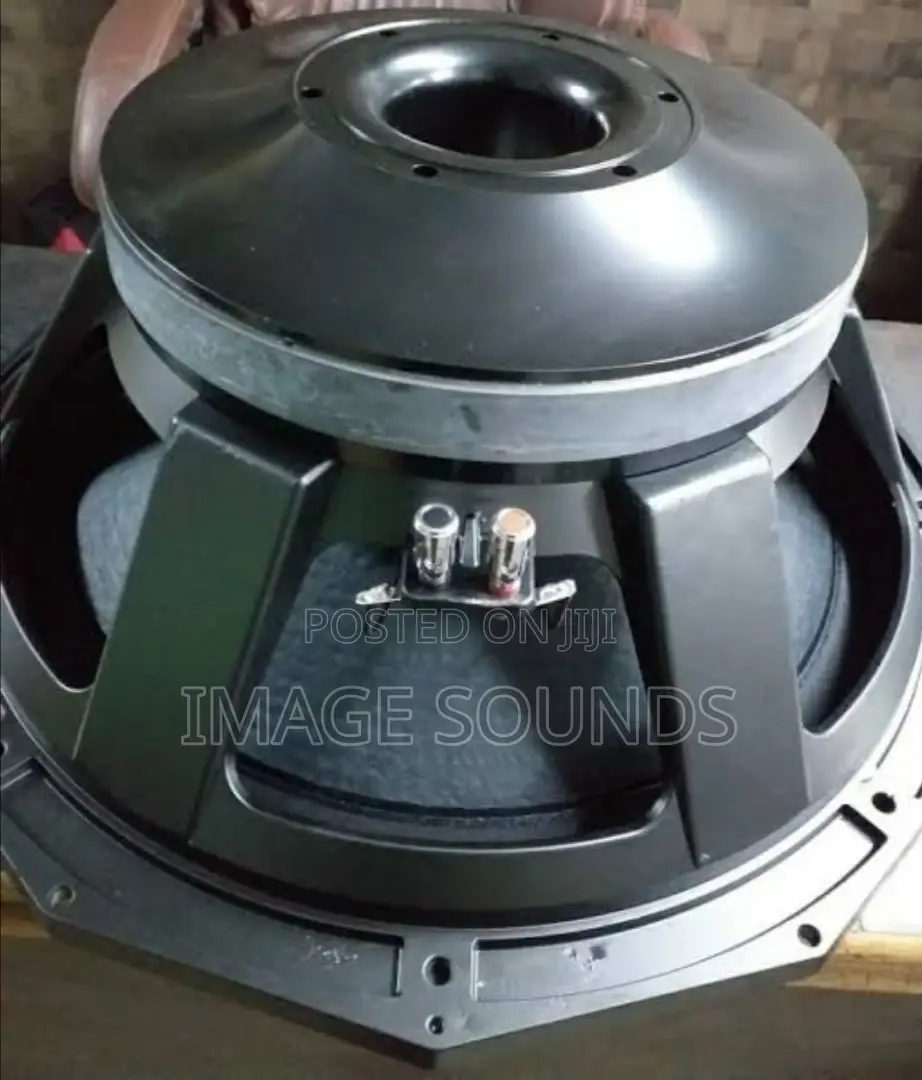 PD1880 Heavy Bass Speaker Naked Nr