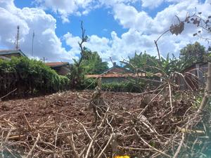 Embu Dallas Ring Road Plot (1/8 Acre) - main view