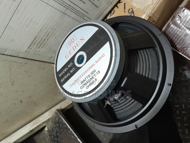 Gedun 12inch 500watts 8ohms Naked Speaker