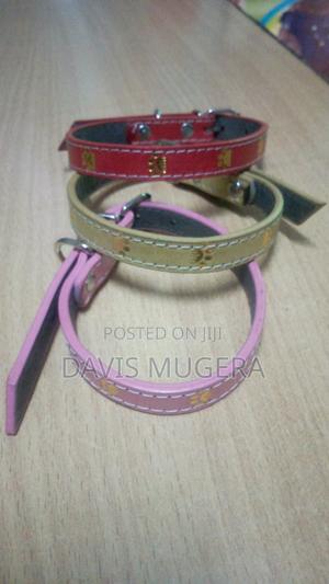 Colourful Dog Collars - Small Size Suitable for Puppies - thumbnail 2