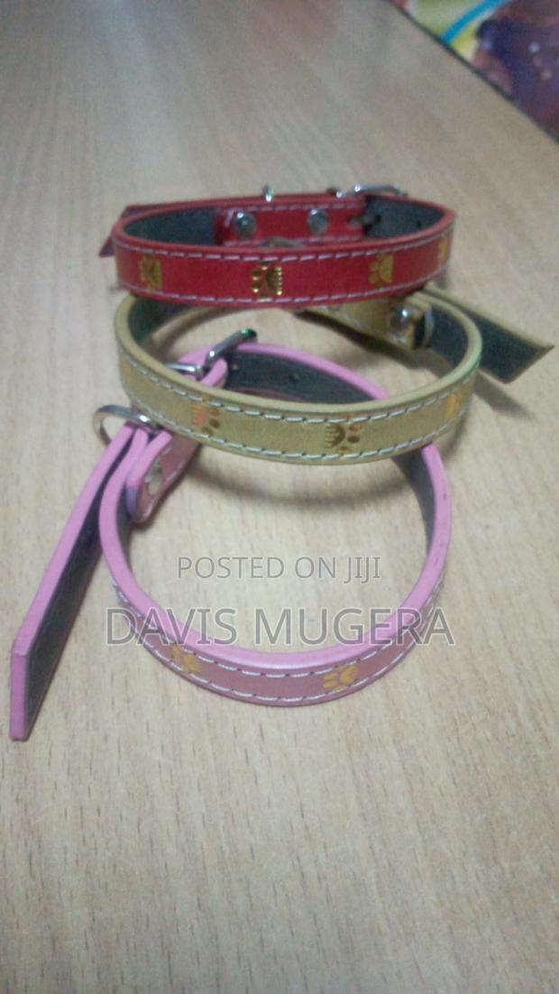 Colourful Dog Collars - Small Size Suitable for Puppies - main view