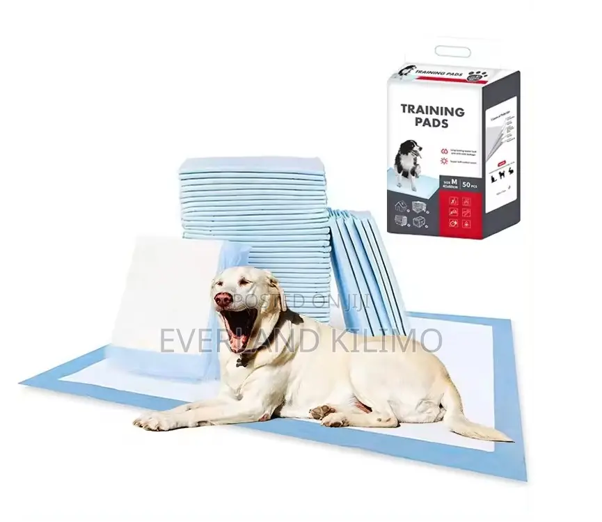 All Weather Pee Pads for Pets