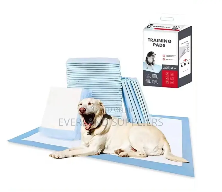All Weather Pee Pads for Pets