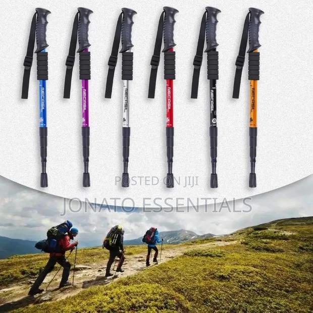 Anti-Shock Trekking Pole - main view