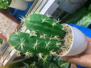Artificial Cactus Plant