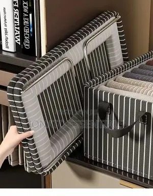 Foldable Clothes Storage Box and Organizer