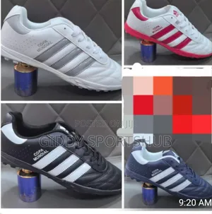 Training or Trainer Shoes
