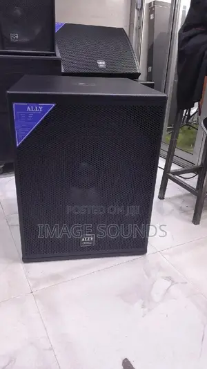Bass Speaker 18inch (2000 Watts) Ally Audio AY