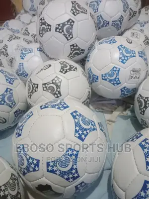 Beast Leather Footballs Imported