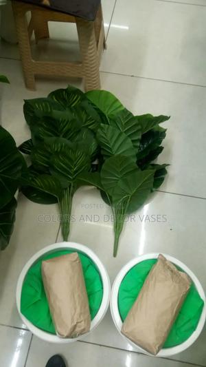 Vases and Plants Artificial Available - thumbnail 2