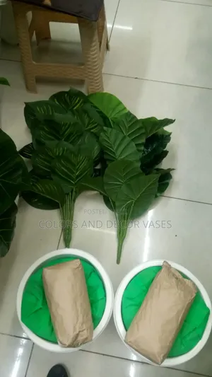 Vases and Plants Artificial Available