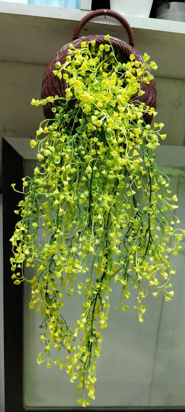 Outdoor Hanging Vines or Flowers - main view