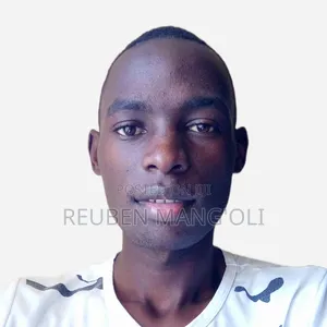 Sales Agent