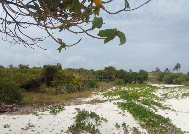 Beach Plot First-Row 1 Acre - thumbnail 2