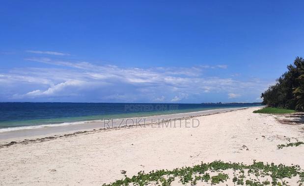 Beach Plot First-Row 1 Acre - main view