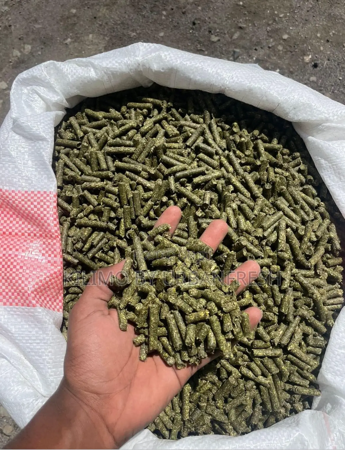 Pure Lucern Pellets 50kgs