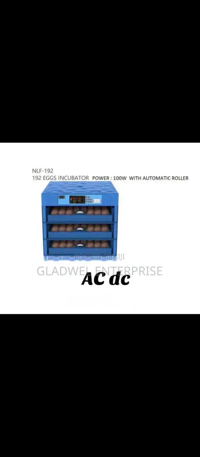 Eggs Incubator