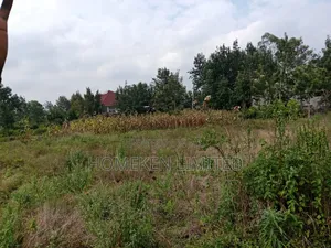 1.5 Acres for Sale in Karen