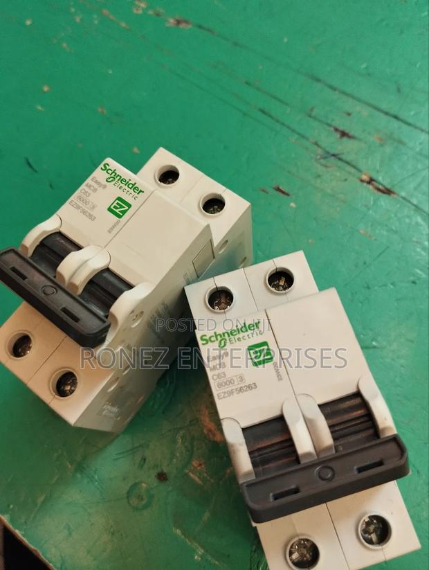 Double Pole 63 Amps.Schnider