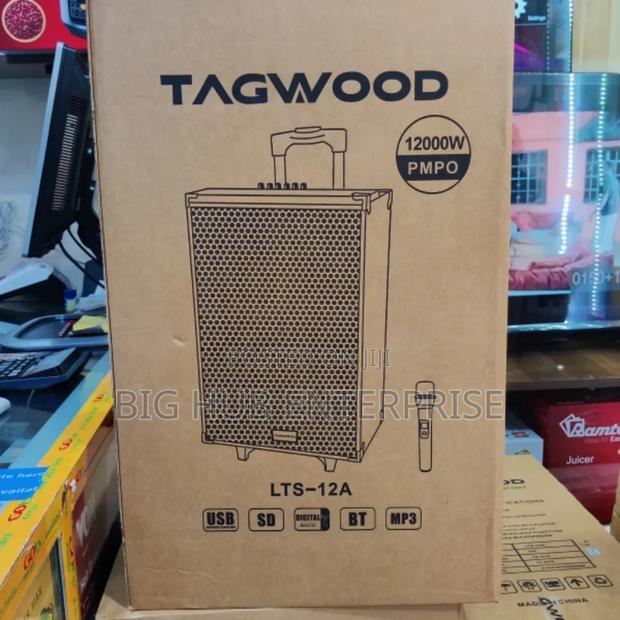 TAGWOOD LTS-12A Outdoor Speaker Wireless Mic - main view