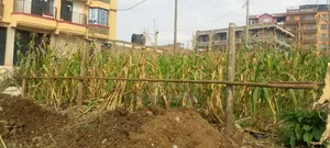 Urgent Sale. Prime Plot Residential/ Commercial Plot