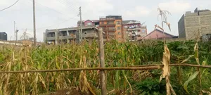 Urgent Sale. Prime Plot Residential/ Commercial Plot