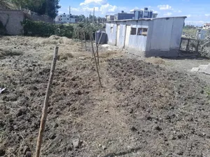 Prime Land Touching Tarmac Road