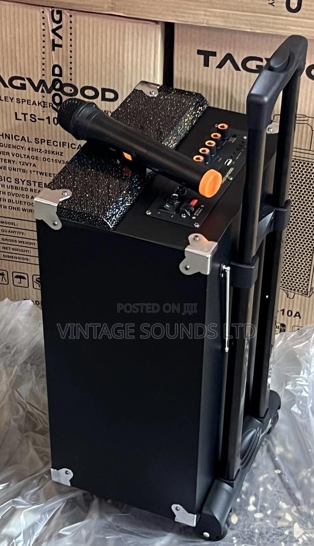 TAGWOOD LTS 10A -10 INCH Portable Powered Speaker (9800pmpw) - thumbnail 2