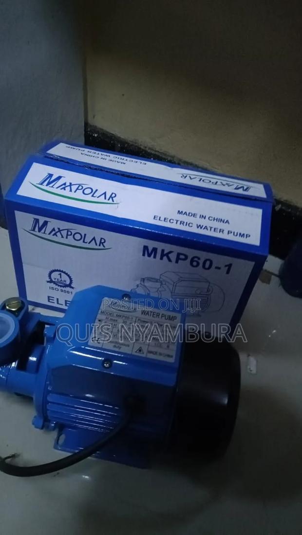 Water Pump, 0.5hp Water Pump Maxpolar. - thumbnail 2