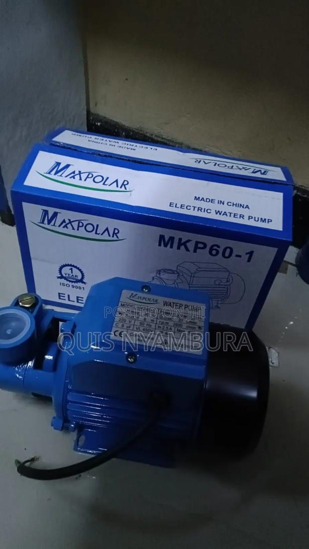 Water Pump, 0.5hp Water Pump Maxpolar. - thumbnail 3