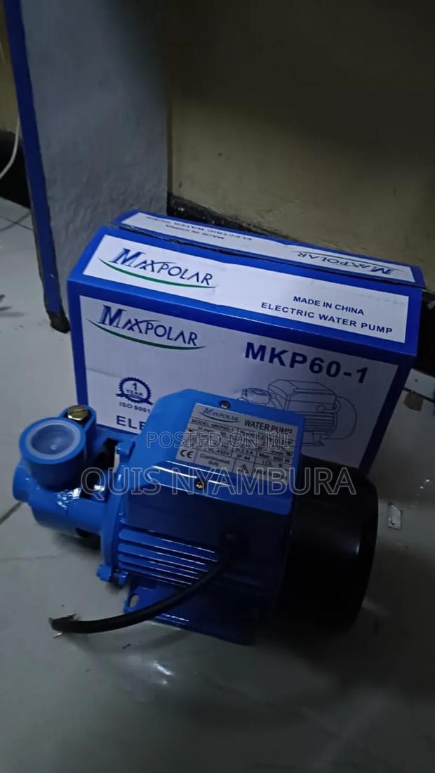 Water Pump, 0.5hp Water Pump Maxpolar. - thumbnail 4