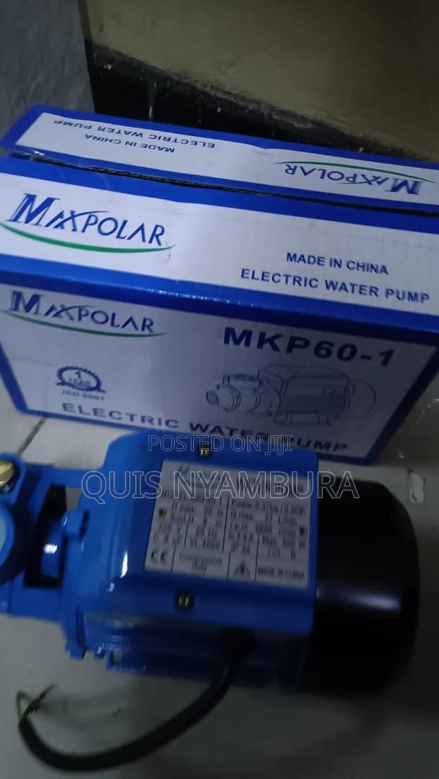 Water Pump, 0.5hp Water Pump Maxpolar. - thumbnail 5