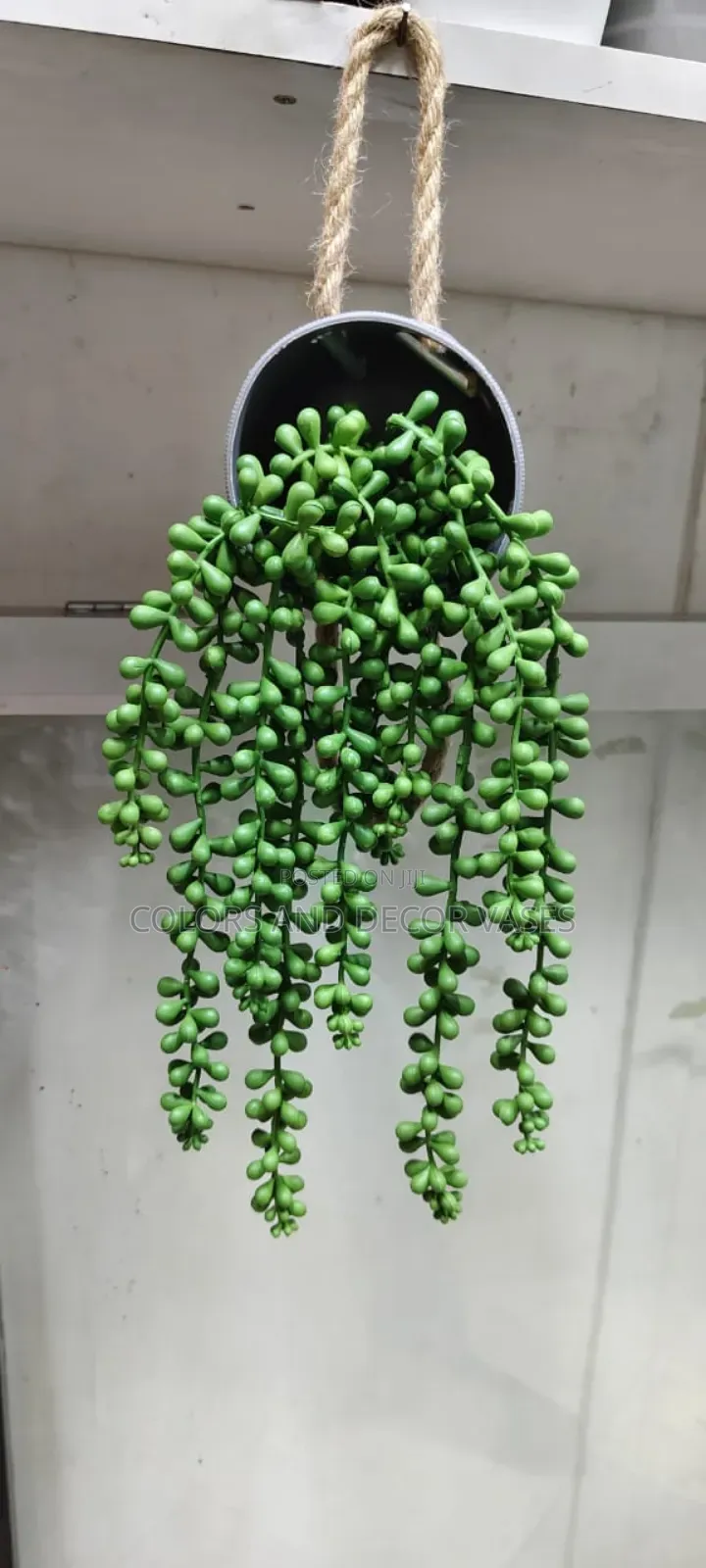 Vines Outdoor Decor