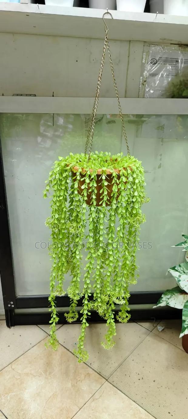 Overflowing Vines for Outdoor Decor