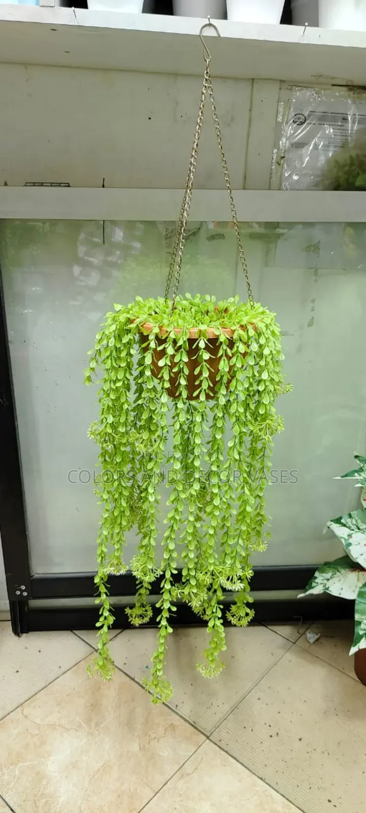 Overflowing Vines for Outdoor Decor