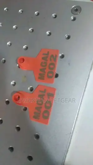 Laser Customized Ear Tags for the Goats and Sheep -Permanent