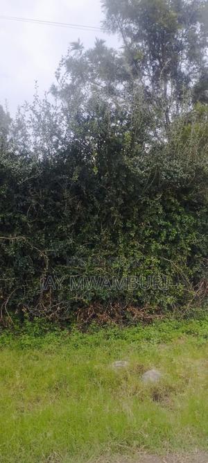 20.8 Acre Land in Mua Hills - thumbnail 2