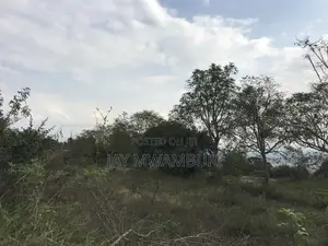 20.8 Acre Land in Mua Hills