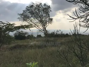 20.8 Acre Land in Mua Hills