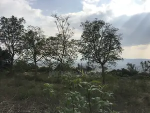 20.8 Acre Land in Mua Hills