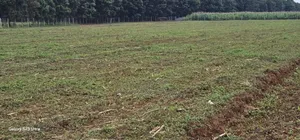 Commercial Plots for Sake in Annex Eldoret