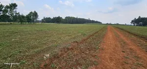 Commercial Plots for Sake in Annex Eldoret