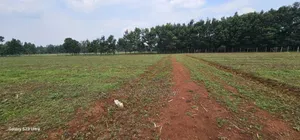 Commercial Plots for Sake in Annex Eldoret
